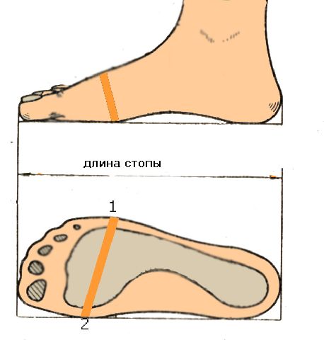 merkakopirovaniekopirovaniekopirovanie_458x480.jpg